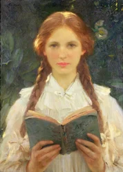 Niña con trenzas