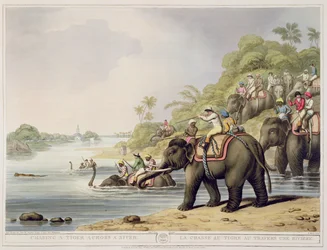 Persiguiendo a un tigre a través de un río, de Deportes de campo orientales, publicado por Edward Orme, 1807