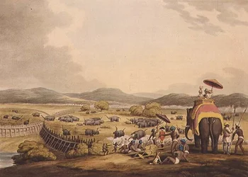 Conduciendo elefantes a un Keddah, de "Deportes de campo orientales", pub. por Edward Orme