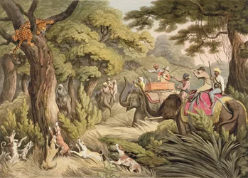 Cazando un leopardo, de Deportes de campo orientales, pub. por Edward Orme, 1807