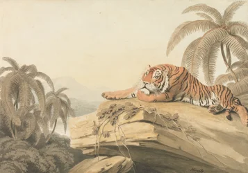 Un tigre descansando: el frontispicio para «Oriental Field Sports»