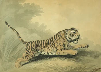 Una tigresa saltando a la derecha, 1807