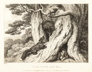 Un gallo en un árbol burla a un zorro, mientras duerme un perro. 1811
