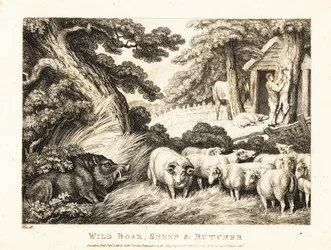 Un rebaño de ovejas espera a ser sacrificado por un carnicero. 1811 (grabado)