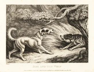 Un perro doméstico con collar ofrece comida a un lobo hambriento. 1811 (grabado)
