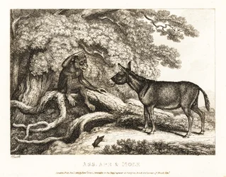 Un mono y un burro gimen hasta que un topo los hace callar. 1811 (grabado)