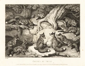 Una manada de zorros reunida en un bosque. 1811 (grabado)