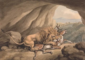 Un león ataca a un ciervo