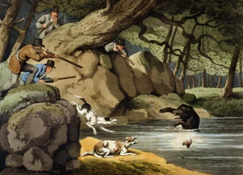 Caza de osos en América del Norte, grabado por Matthew Dubourg, publicado por Edward Orme, 1813