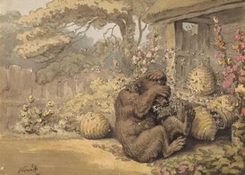 El oso y las colmenas
