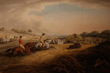 La caza del cerdo - A través de los campos, de 