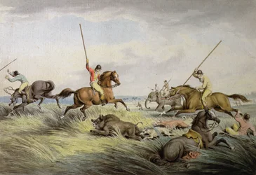 La caza del cerdo - La matanza, de 