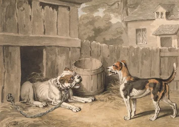 El perro travieso