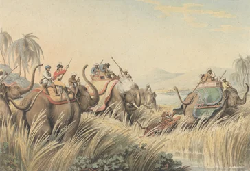 El tigre acorralado: una ilustración para "Oriental Field Sports" del capitán Thomas Williamson