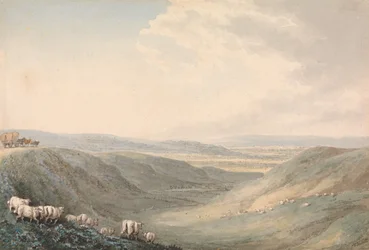 Paisaje de valle con ovejas