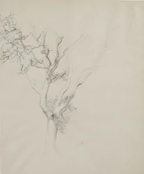 Estudio de árbol, 1884