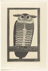 Búho de los cuernos