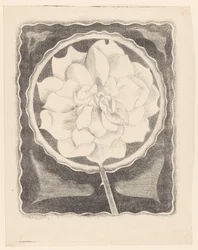 Rosa (en círculo, con borde ondulado)