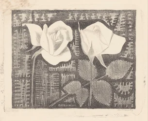 Dos rosas
