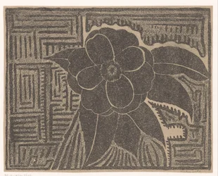 Camelia (negra; todo alrededor de un patrón laberíntico)