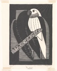 Perico (periquitos)