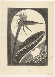 Strelitzia en flor