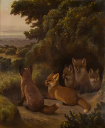 Una camada de cachorros de zorro, c.1855-92 (óleo sobre lienzo)