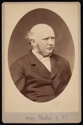 Retrato de Robert Safford Hale 1822-1881, antes de 1881