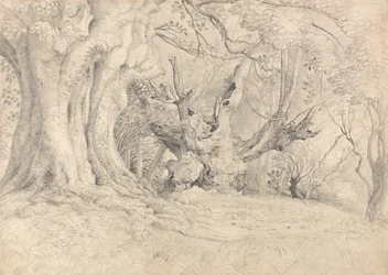 Árboles centenarios, Parque Lullingstone
