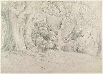Árboles antiguos, Parque Lullingstone, 1828