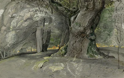 Roble y haya, Parque Lullingstone