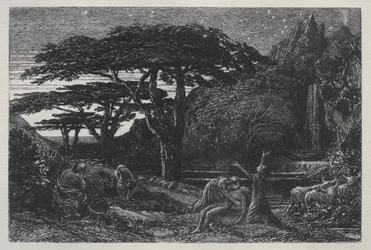 El Bosque de Cipreses