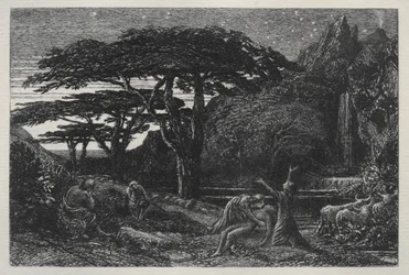 El bosque de cipreses, 1883