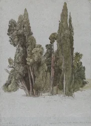 Los cipreses de Villa d