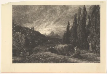 El Primer Labrador
