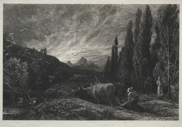 El primer labrador