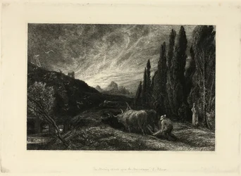 El primer labrador