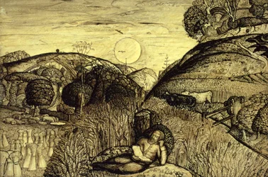 Valle espeso de maíz