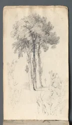 Cuaderno de bocetos: Estudio de árbol, 1814
