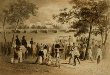 Government Domain, Sídney