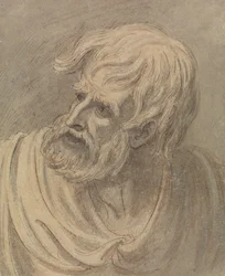 Cabeza de hombre con barba mirando a la izquierda