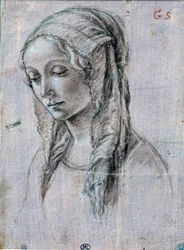 Cabeza de mujer joven