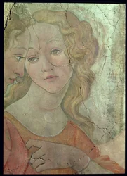 Venus y las Tres Gracias ofreciendo regalos a una joven, detalle de una de las Gracias, hacia 1483, detalle de fresco
