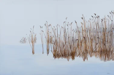 Juncos de invierno, 2016 (acrílico sobre lienzo)