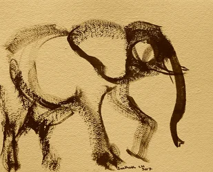 Boceto abstracto de elefante