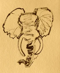 Boceto de elefante africano