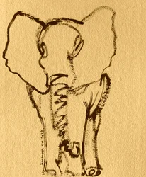 Boceto de una cría de elefante
