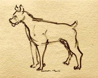 Boceto de perro bóxer
