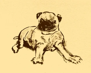 Boceto de un lindo cachorro de pug
