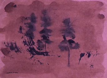 Oscuro paisaje forestal